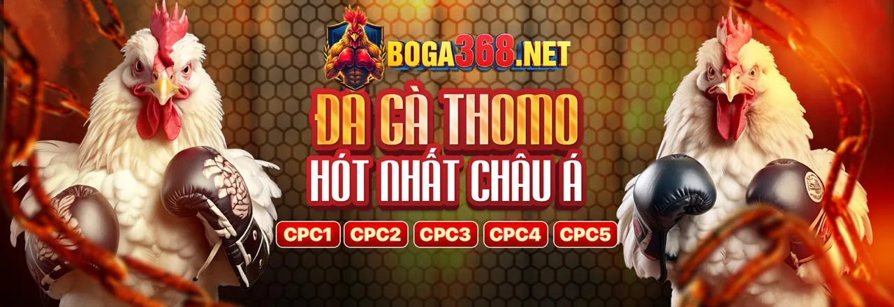 Hỗ trợ khách hàng SV66 24/7